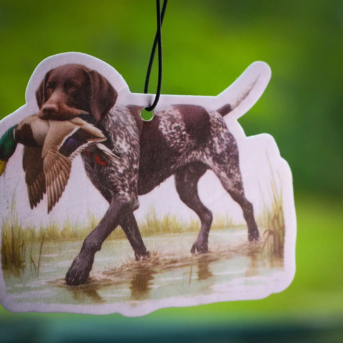 SCENT SOUTH AIR FRESHENERS